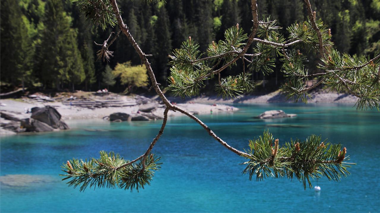 Bergsee