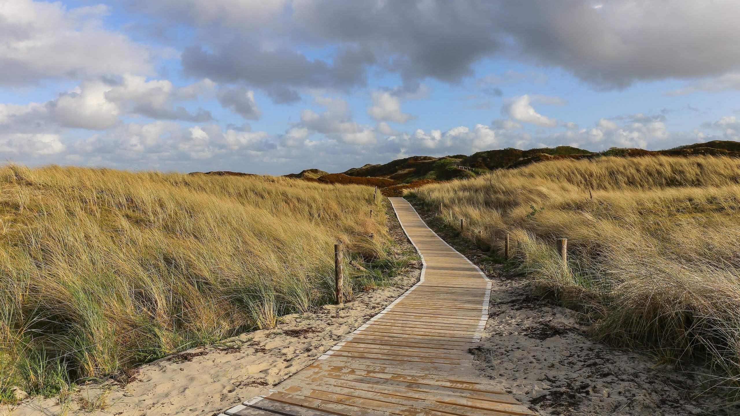 Dünenlandschaft Sylt